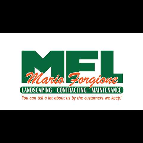 Jobs in Mario Forgione Landscaping, Ltd. - reviews
